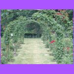 Arches In Rose Garden.jpg